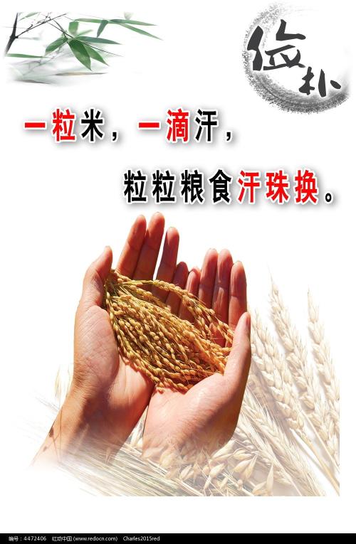 キンキ本科毕业证